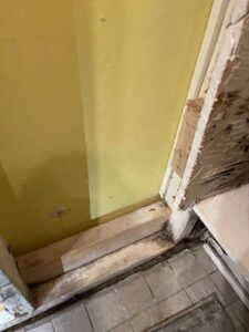 Professional mold repair in Windsor Ontario by Zeny Construction.